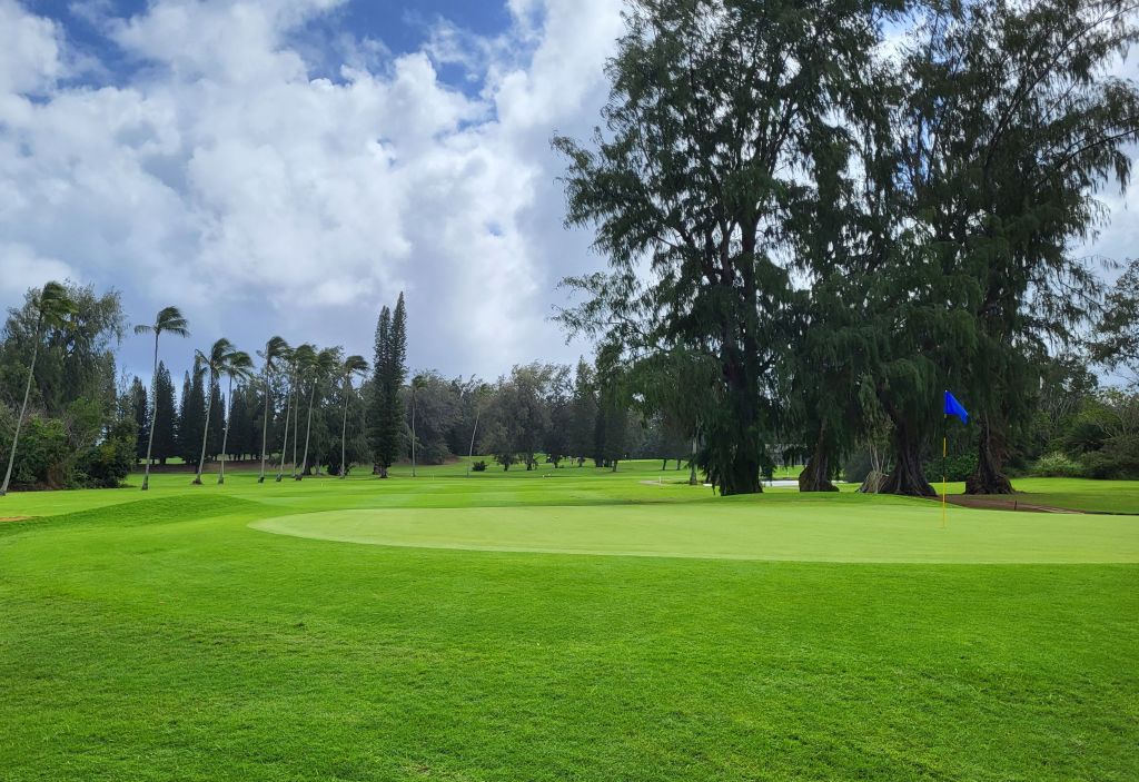 Vibrant greens with trees off in the background. White clouds covering a blue sky.