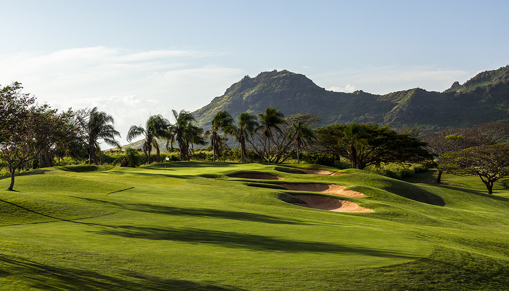 Destination revelation